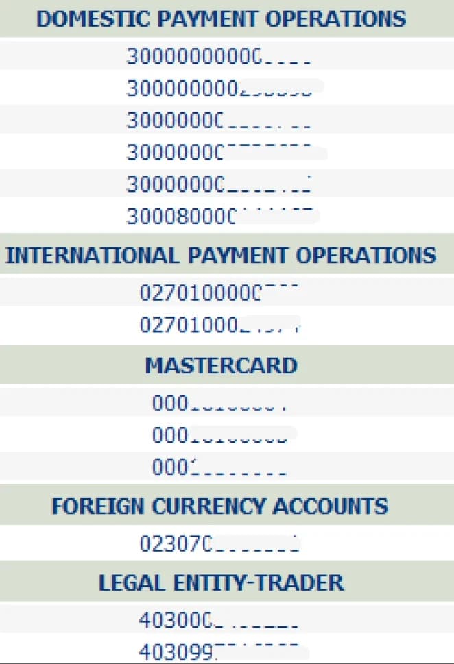 The old navigation: one endless list of account numbers grouped under payment-operation headings, no visual hierarchy.